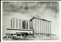 藏品((照片))的圖片