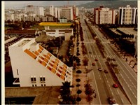 藏品((照片))的圖片