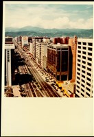 藏品((照片))的圖片