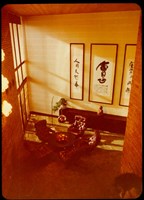 藏品((照片))的圖片