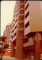 藏品((照片))的圖片