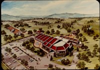 藏品((照片))的圖片