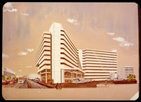 藏品((透視圖))的圖片