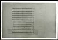 藏品((剖面圖))的圖片