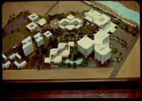 藏品((照片))的圖片