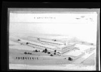 藏品((P8-1膠片))的圖片