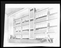 藏品((P8-3膠片))的圖片