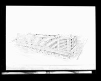 藏品((膠片))的圖片