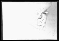 藏品((P14-2膠片))的圖片