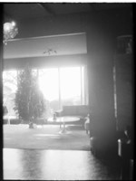 藏品((P22-4-3負片))的圖片