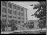 藏品((P26-3負片))的圖片