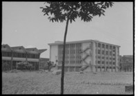 藏品((P26-6負片))的圖片