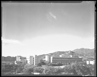 藏品((P36-2負片))的圖片