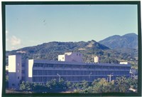 藏品((P37-2正片))的圖片