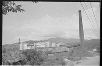 藏品((P38-1負片))的圖片