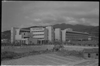 藏品((P38-3負片))的圖片