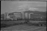 藏品((P38-4負片))的圖片