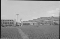 藏品((P38-5負片))的圖片