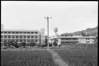 藏品((P38-8負片))的圖片