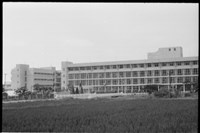 藏品((P38-9負片))的圖片