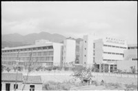 藏品((P38-11負片))的圖片