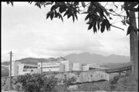 藏品((P38-12負片))的圖片