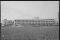 藏品((P39-1負片))的圖片