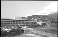 藏品((P39-3負片))的圖片