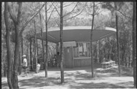 藏品((P40-11負片))的圖片