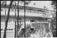 藏品((P40-17負片))的圖片