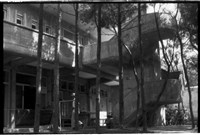 藏品((P40-19負片))的圖片