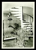 藏品((P6-1照片))的圖片