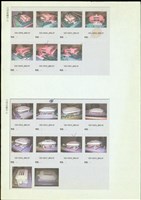 藏品((照片列印-元培保健中心、元培活動中心))的圖片