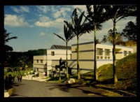 藏品((彩色照片))的圖片