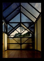 藏品((彩色照片))的圖片