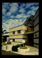 藏品((彩色照片))的圖片