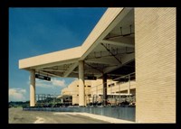 藏品((彩色照片))的圖片