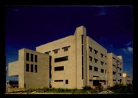 藏品((彩色照片))的圖片