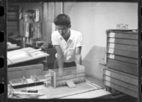 藏品((膠片5))的圖片