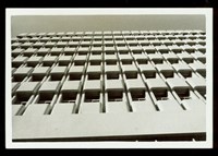 藏品((黑白照片))的圖片