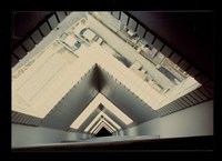 藏品((彩色照片))的圖片