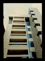 藏品((彩色照片))的圖片