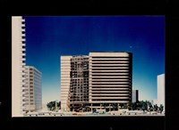 藏品((彩色照片))的圖片