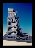 藏品((彩色照片))的圖片