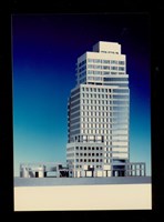 藏品((彩色照片))的圖片