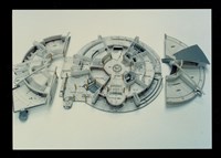 藏品((彩色照片))的圖片