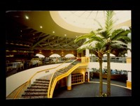 藏品((彩色照片))的圖片