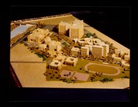 藏品((彩色照片))的圖片