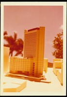 藏品((照片))的圖片