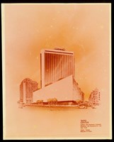 藏品((照片))的圖片